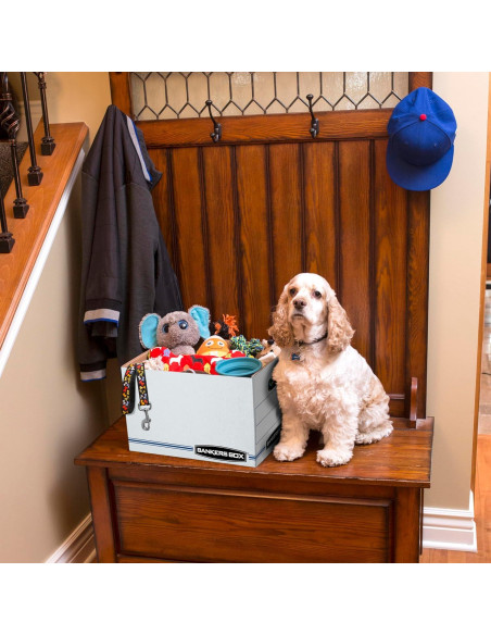 Cajas de Almacenamiento Bankers Box 12 Unidades 38.1x30.5x25.4 cm