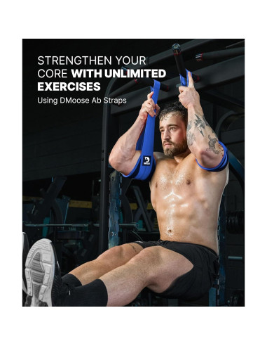 Cintas Abdominales Colgantes DMoose - Soporte 150 kg