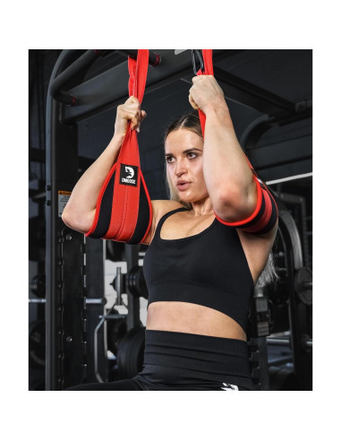 Cintas Abdominales Colgantes DMoose - Soporte 150 kg