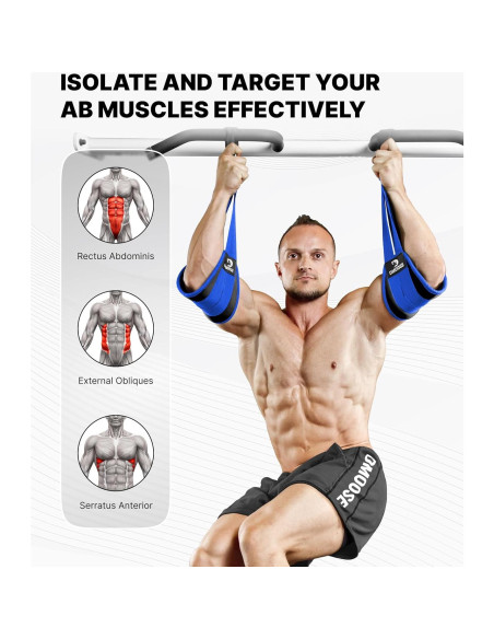 Cintas Abdominales Colgantes DMoose - Soporte 150 kg