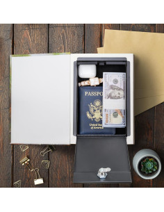 Caja Fuerte Oculta en Libro Barska - Seguridad con Llave 2