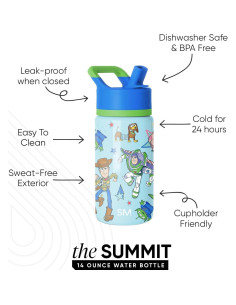 Botella de Agua Térmica Simple Modern 414ml Disney Toy Story 2