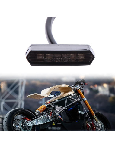 Luz Trasera LED DREAMIZER para Motocicleta y ATV 12V IP67