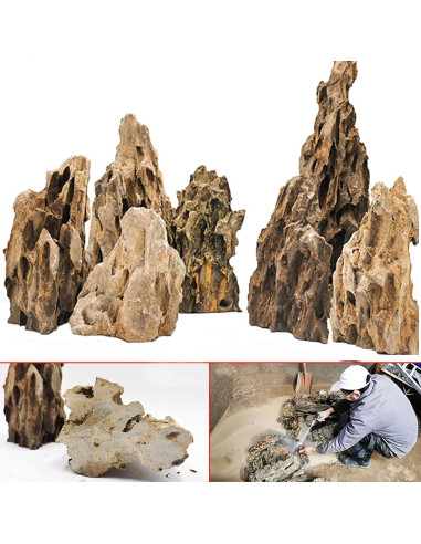 Piedra Dragón Seiryu para Acuarios 20LB - Rocas Naturales