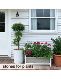 Rocas de Río Pulidas Calofulston 1kg Mezcladas para Jardín 2