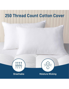 Almohada Hipoalergénica Ankwos Reina - Suave y Fresca 71x51cm 2