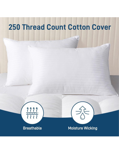 Almohada Hipoalergénica Ankwos Reina - Suave y Fresca 71x51cm