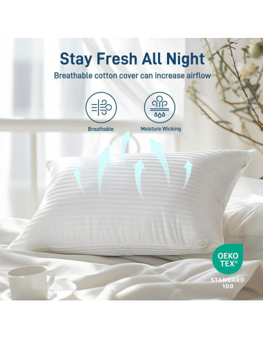 Almohada Hipoalergénica Ankwos Reina - Suave y Fresca 71x51cm