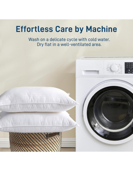 Almohada Hipoalergénica Ankwos Reina - Suave y Fresca 71x51cm