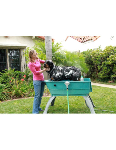 Baño Elevado para Mascotas Booster Bath Grande Verde Azulado