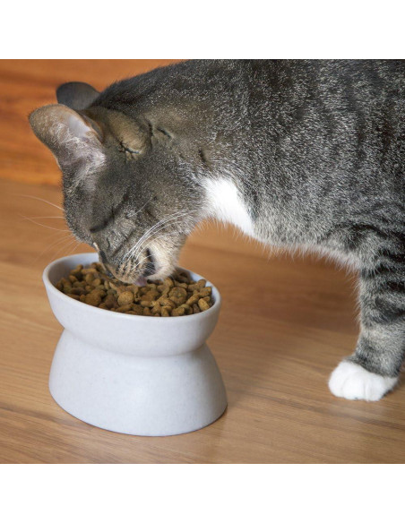 Tazones Elevados para Gatos Kitty City - Paquete de 2 Modernos Tazones Elevados para Gatos Kitty City - Paquete de 2 Modernos