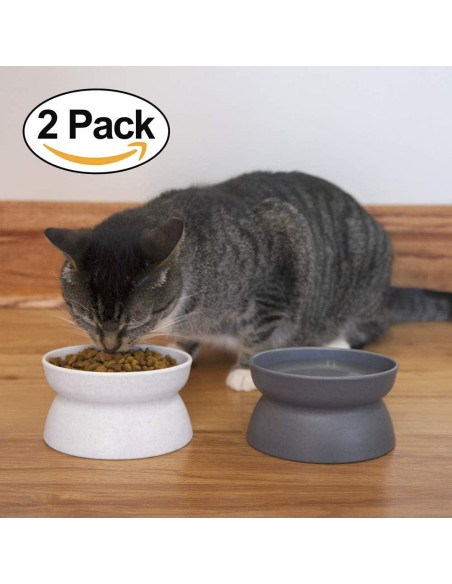 Tazones Elevados para Gatos Kitty City - Paquete de 2 Modernos Tazones Elevados para Gatos Kitty City - Paquete de 2 Modernos