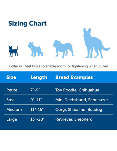 Collar Martingale PetSafe Azul Real 0.95 cm Pequeño