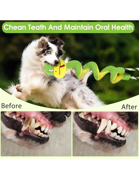 Juguete de cuerda para perros Eneston SHE-001 con sonajero Juguete de cuerda para perros Eneston SHE-001 con sonajero