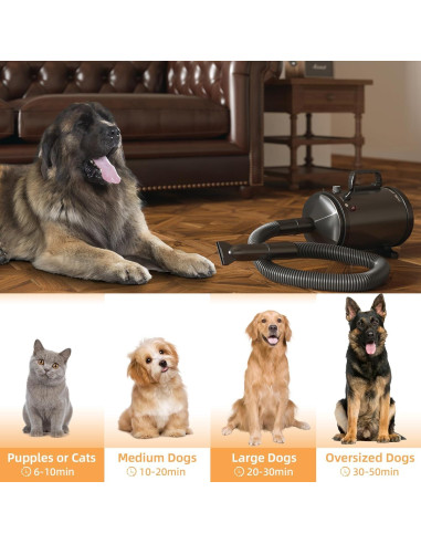 Secador Profesional para Mascotas COTUBLR Negro 4 Boquillas