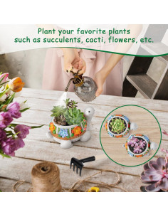 Maceta Tortuga LESES con Drenaje para Suculentas 15.24 cm 2