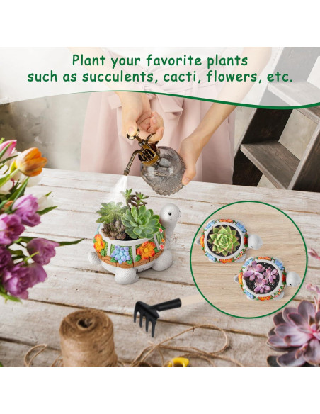 Maceta Tortuga LESES con Drenaje para Suculentas 15.24 cm