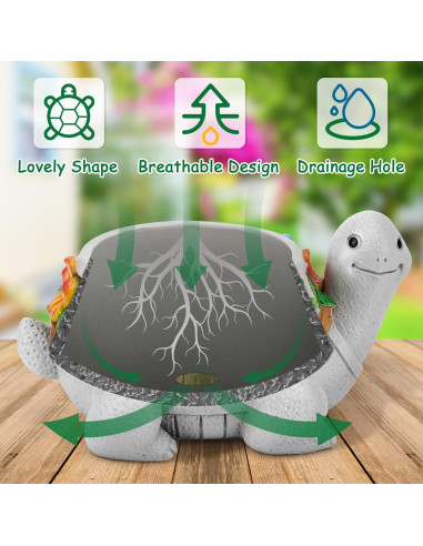 Maceta Tortuga LESES con Drenaje para Suculentas 15.24 cm