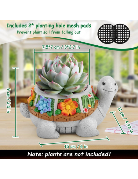 Maceta Tortuga LESES con Drenaje para Suculentas 15.24 cm