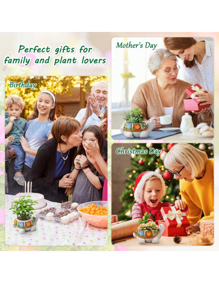 Maceta Tortuga LESES con Drenaje para Suculentas 15.24 cm