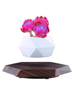 Maceta Flotante Magnética LMingKun para Plantas Pequeñas