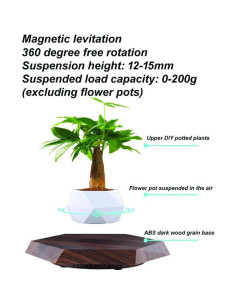 Maceta Flotante Magnética LMingKun para Plantas Pequeñas 2