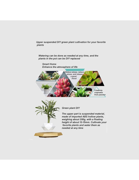 Maceta Flotante Magnética LMingKun para Plantas Pequeñas