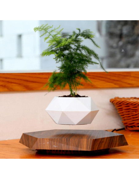 Maceta Flotante Magnética LMingKun para Plantas Pequeñas