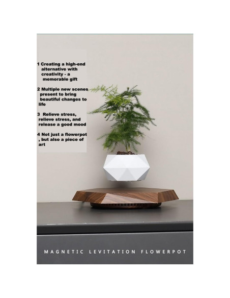 Maceta Flotante Magnética LMingKun para Plantas Pequeñas