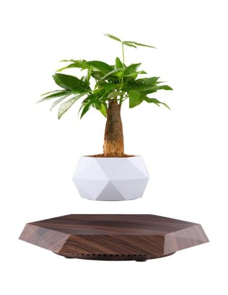 Maceta Flotante Magnética LMingKun para Plantas Pequeñas