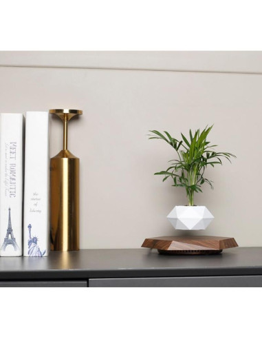 Maceta Flotante Magnética LMingKun para Plantas Pequeñas