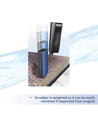 Imanes de Limpieza de Algas Aqueon Pequeño para Acuarios