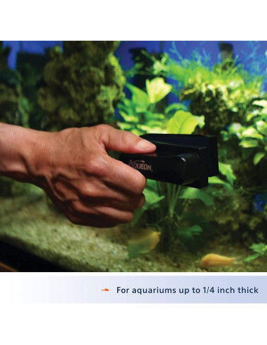 Imanes de Limpieza de Algas Aqueon Pequeño para Acuarios
