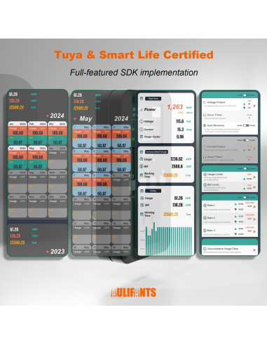 Enchufe Inteligente Aulifants LP405 25A Medidor de Energía