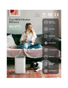 Purificador de Aire Inteligente Airversa AP2 H13 HEPA 1000 m 2