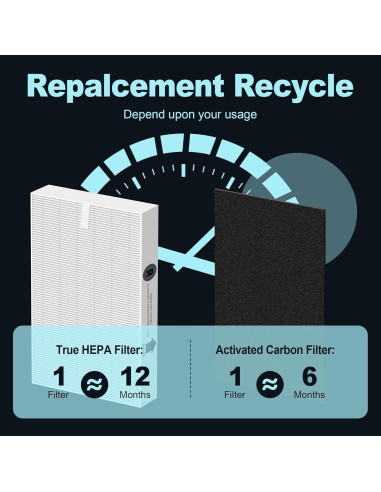 Filtro HEPA HPA300 PETOX para Purificadores Honeywell - 6 HEPA R + 8 Pre-Filtros