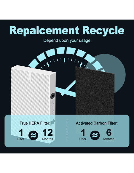 Filtro HEPA HPA300 PETOX para Purificadores Honeywell - 6 HEPA R + 8 Pre-Filtros