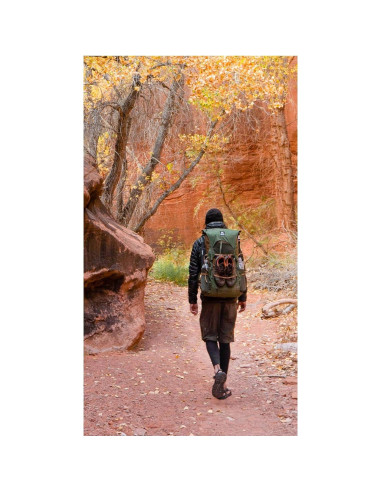 Mochila de Senderismo Granite Gear Perimeter 50L Regular Bourbon/Pine