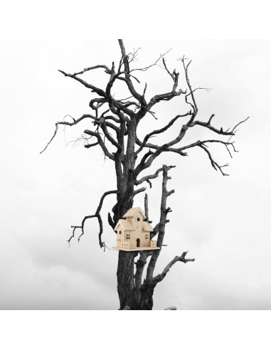 Casa de Aves de Madera NUOBESTY 20x12.5x20 cm Beige