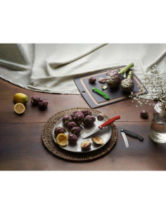 Cuchillo de Pelar Plegable Victorinox Swiss Classic 10.9 cm Rojo 2