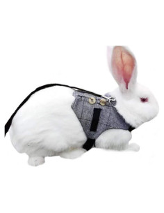 Arnés y Correa Ajustable Hypeety para Conejo y Gato Pequeño S