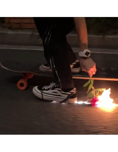 Almohadillas de Chispas para Zapatos VISIOLEX - 1 Funda + 4 Almohadillas