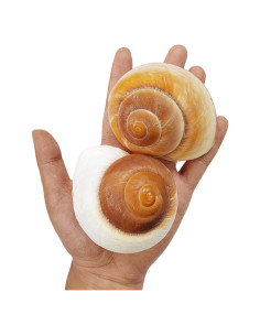 Conchas de Cangrejo Ermitaño QEQEKAKA 2 Pcs Extra Grande