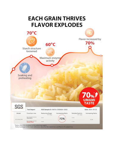 Olla Arrocera TOSHIBA RC-10DRUNA 5.5 Tazas 15 Funciones