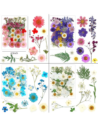 170 Piezas Flores Secas Prensadas Vignee para Manualidades