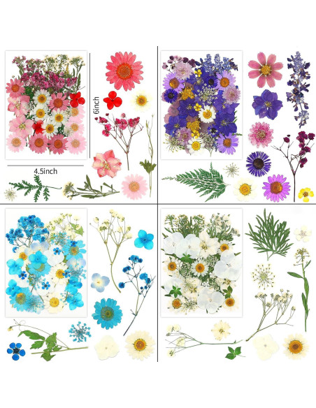 170 Piezas Flores Secas Prensadas Vignee para Manualidades