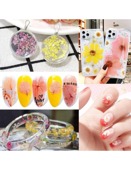 170 Piezas Flores Secas Prensadas Vignee para Manualidades