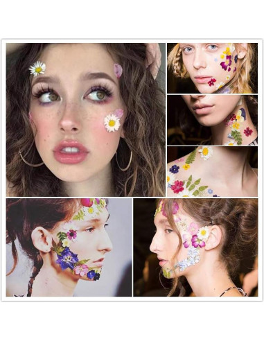 170 Piezas Flores Secas Prensadas Vignee para Manualidades