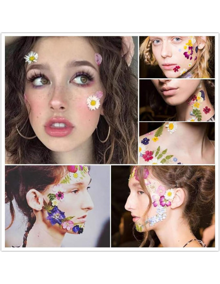 170 Piezas Flores Secas Prensadas Vignee para Manualidades