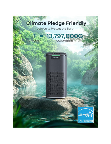 Purificador de Aire Inteligente WELOV P200 Max 146.79 m HEPA